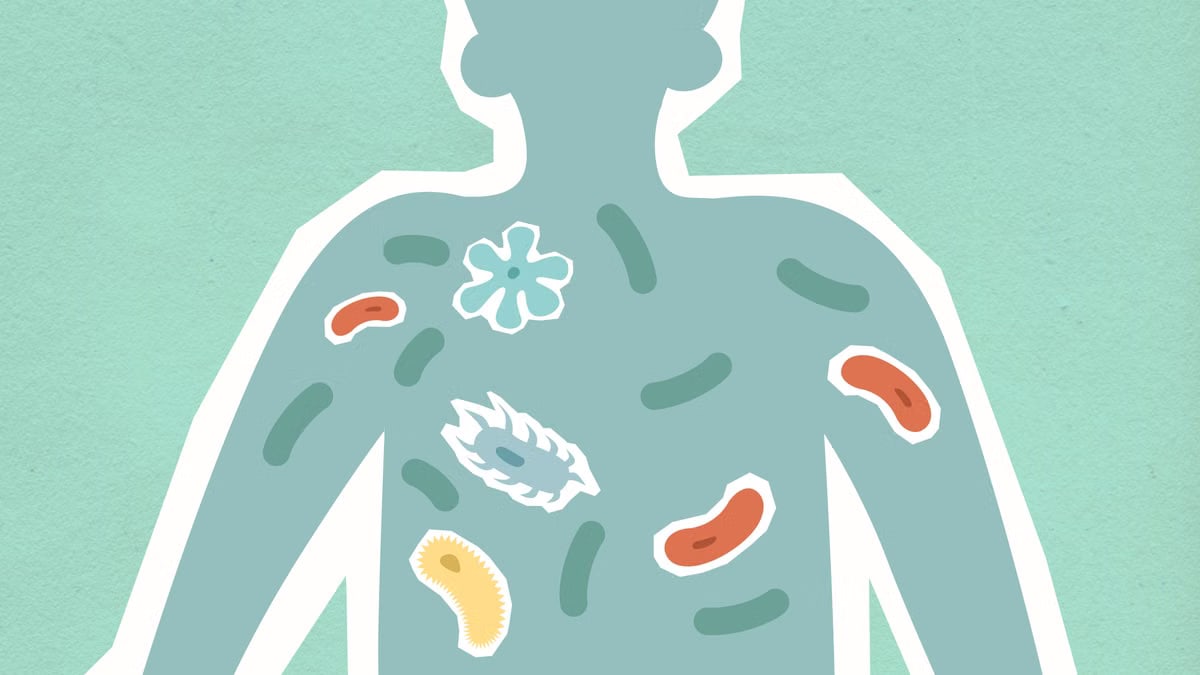 Top view of decorative cardboard appliques of human figure with different bacteria in body on green background